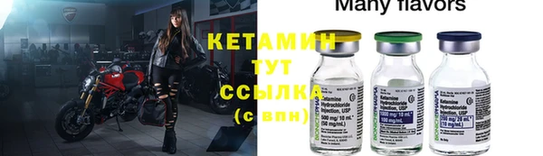 сатива Россошь