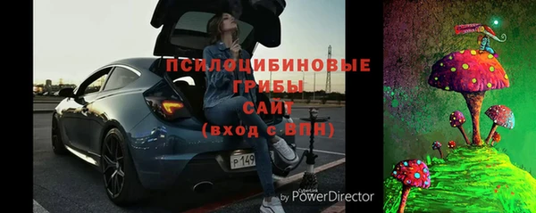 шишки Абинск